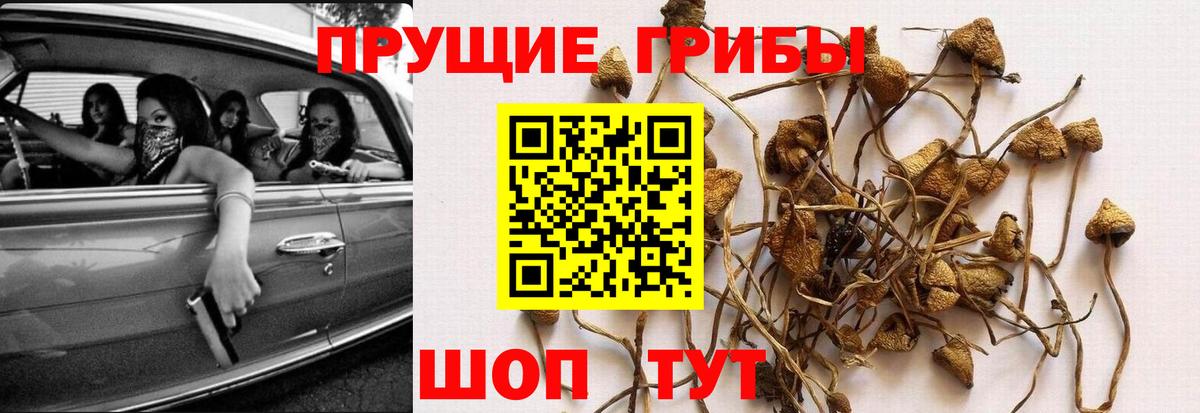 Конопля  НБОМе  Кокаин  Сертолово  Меф   Вход с VPN  Гашиш 