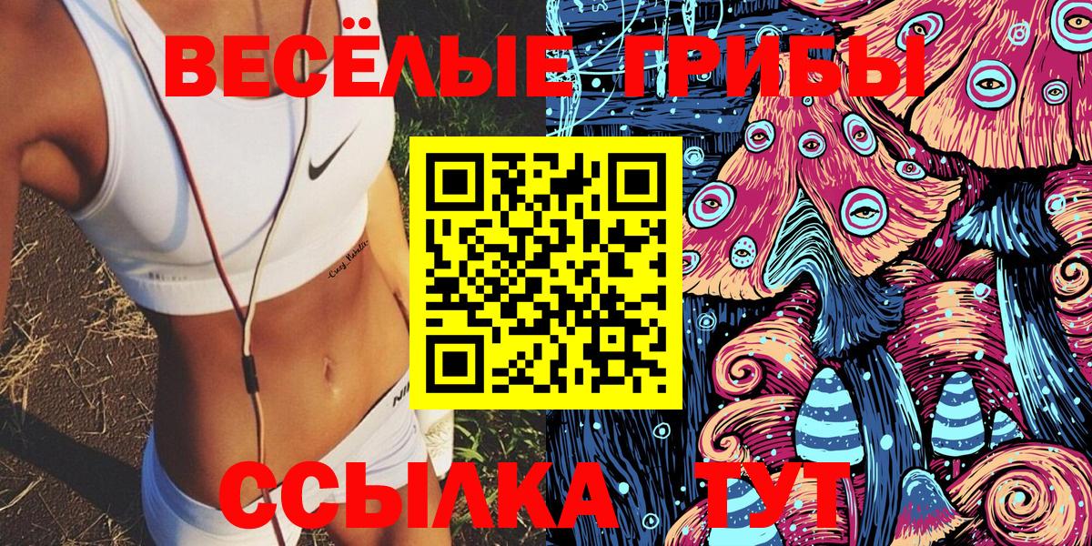 купить наркотики сайты  Псилоцибиновые грибы MAGIC MUSHROOMS  Вход с VPN  Сертолово 